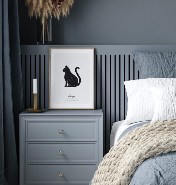 Kass - Image 2