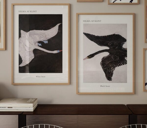 Hilma Af Klint komplekt