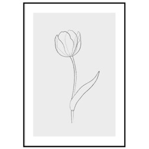 One line tulp I