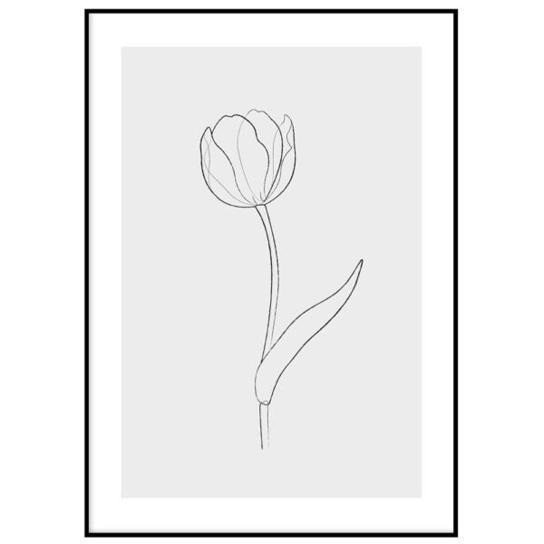 One line tulp I