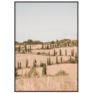 Tuscany II