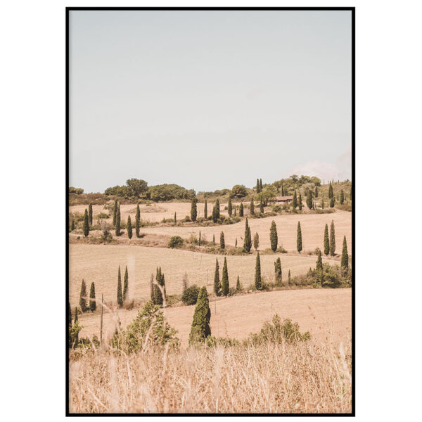 Tuscany II